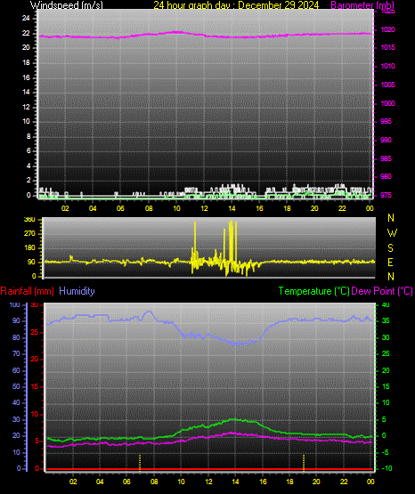 24 Hour Graph for Day 29