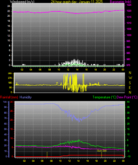 24 Hour Graph for Day 11