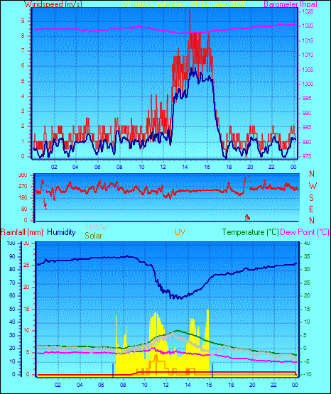 24 Hour Graph for Day 11