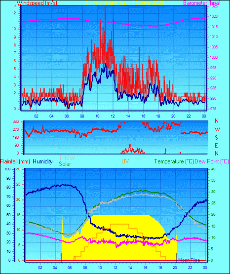 24 Hour Graph for Day 12