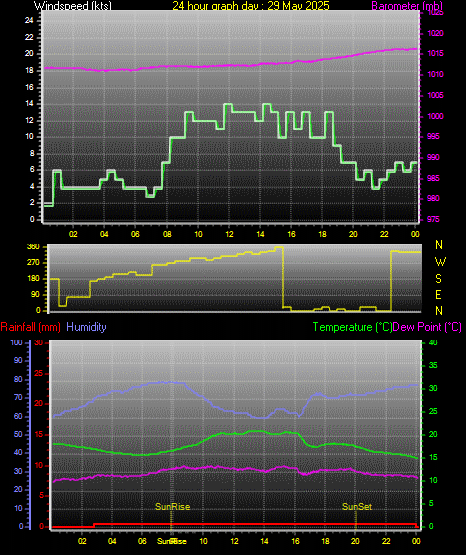 24 Hour Graph for Day 29