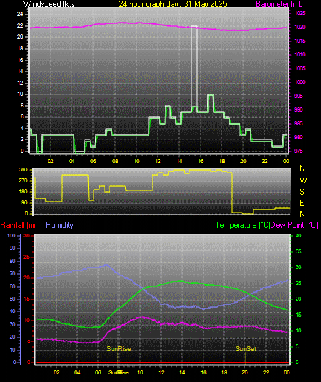 24 Hour Graph for Day 31