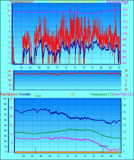 24 Hour Graph for Day 20