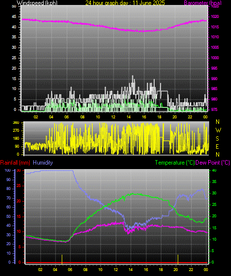 24 Hour Graph for Day 11