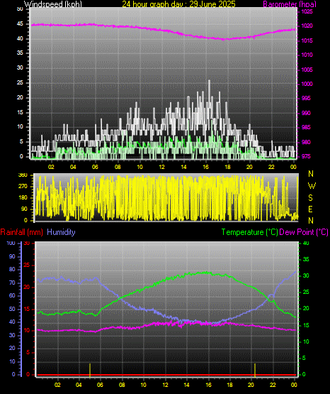 24 Hour Graph for Day 29